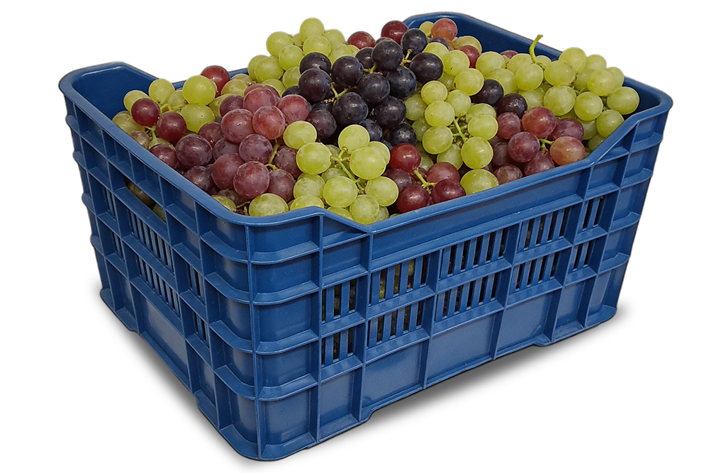 τελάρα πολλών χρήσεων