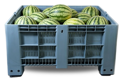 Πλαστικά Παλετοκιβώτια